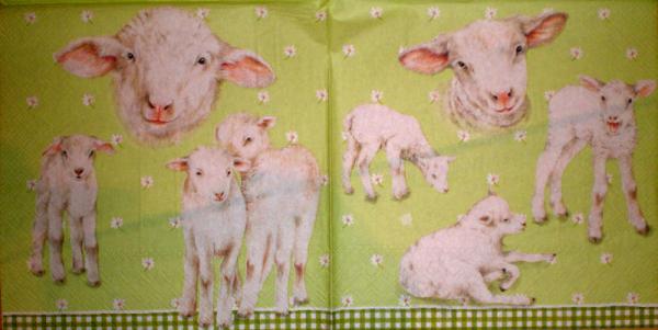 003 Sheep - 3-ply (yellow) - Ihr